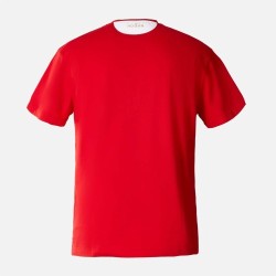 Dental Diagnostic Instruments